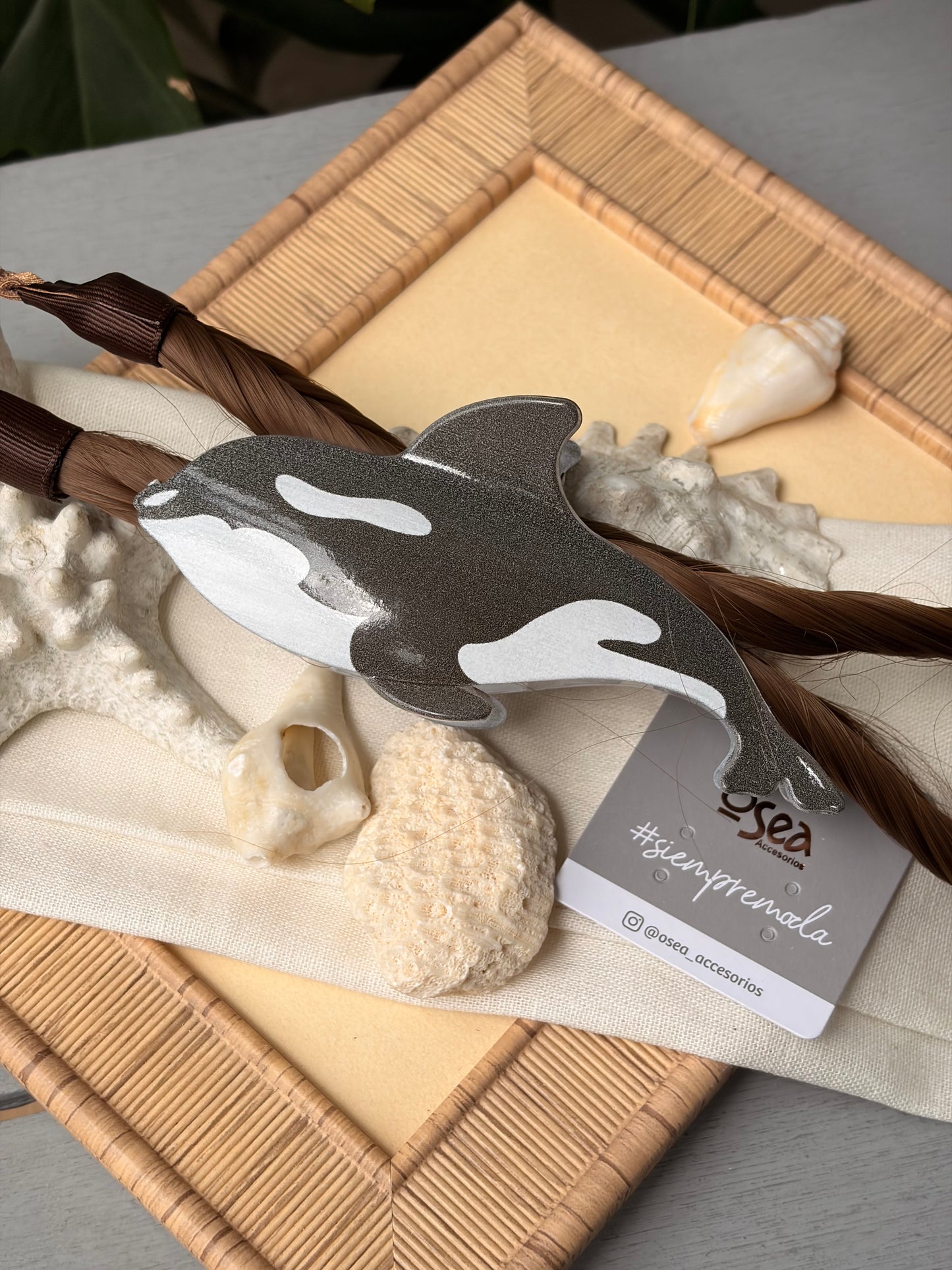 Caimán hair clip ballena en colores