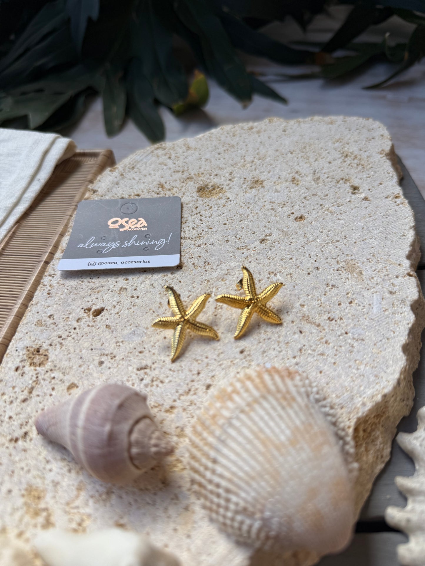 Topo estrella de mar mediano 24k