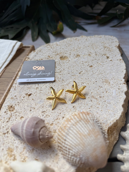 Topo estrella de mar mediano 24k