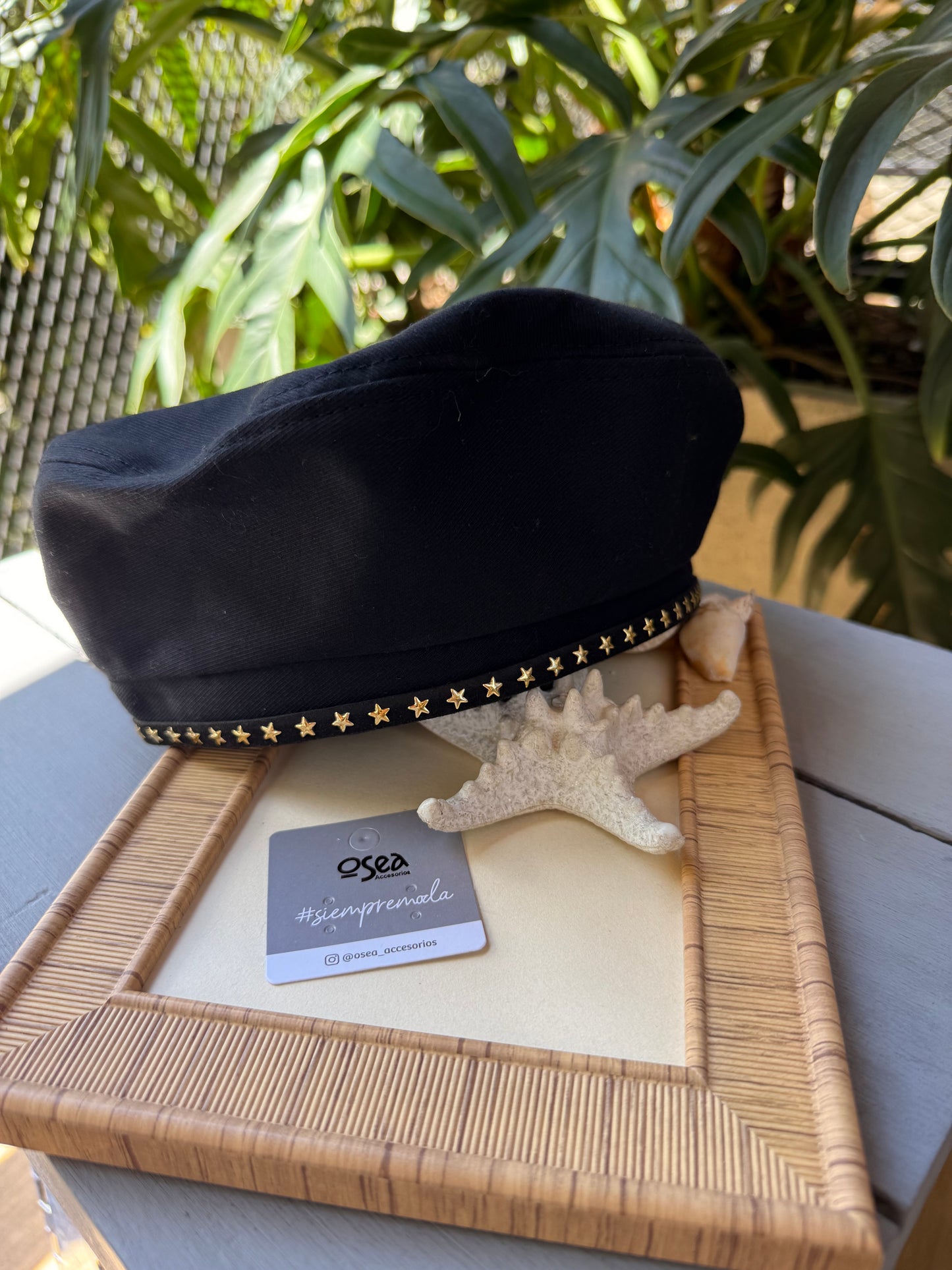 Boina parisina estrellas