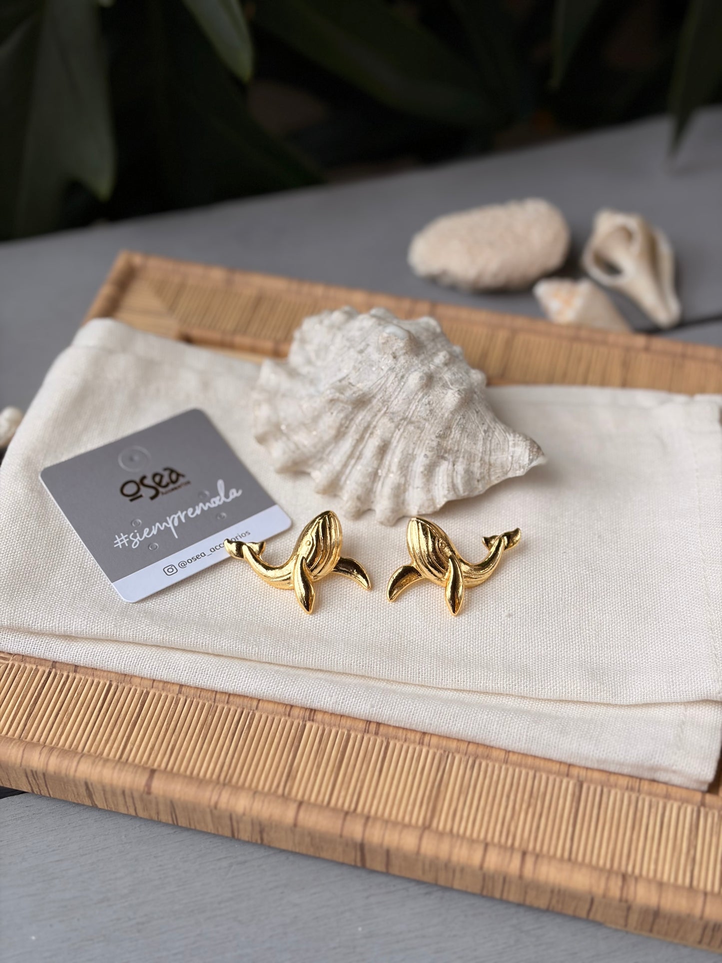 Topos ballena jorobada