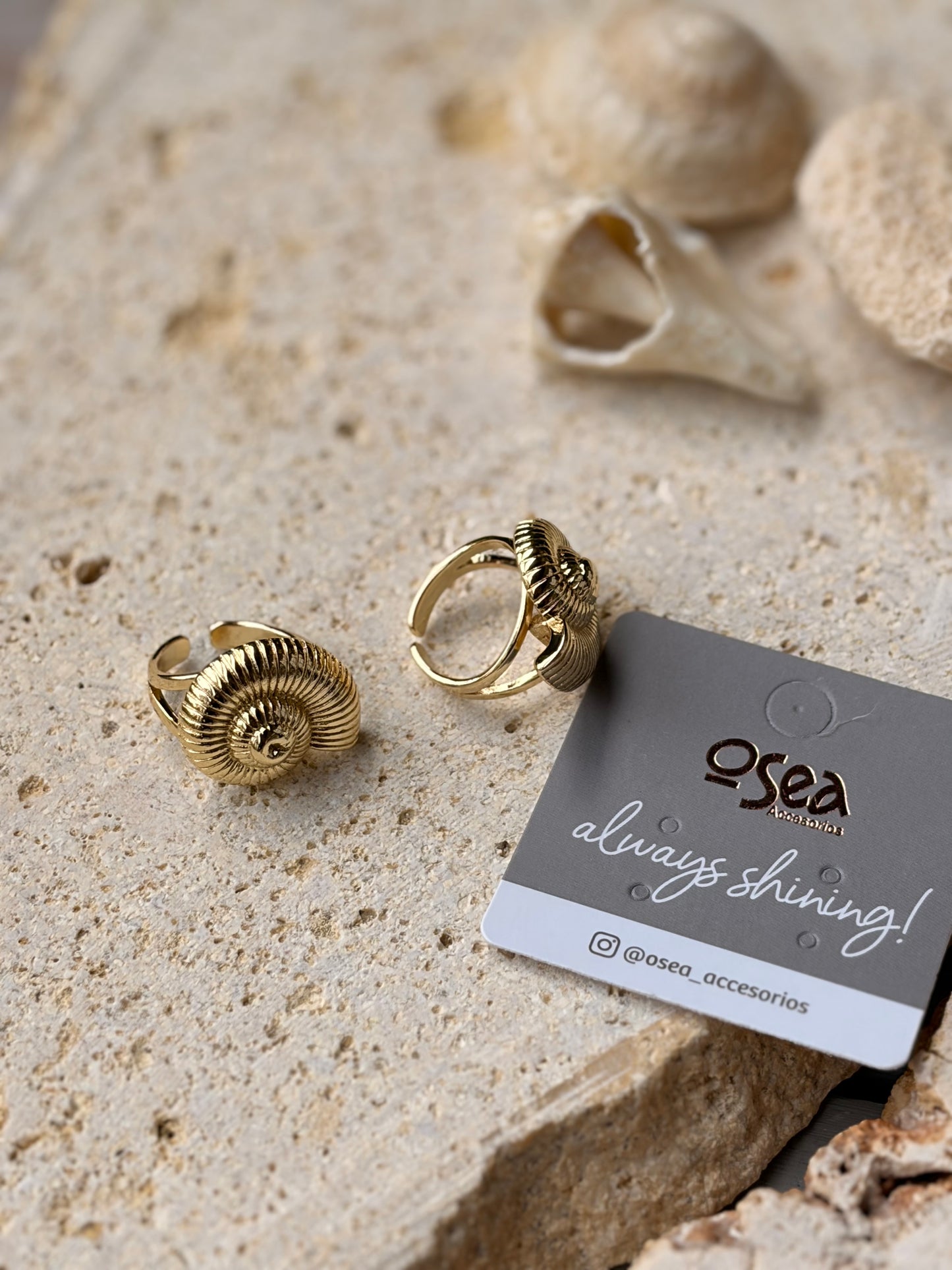 Anillo rodinado concha de mar