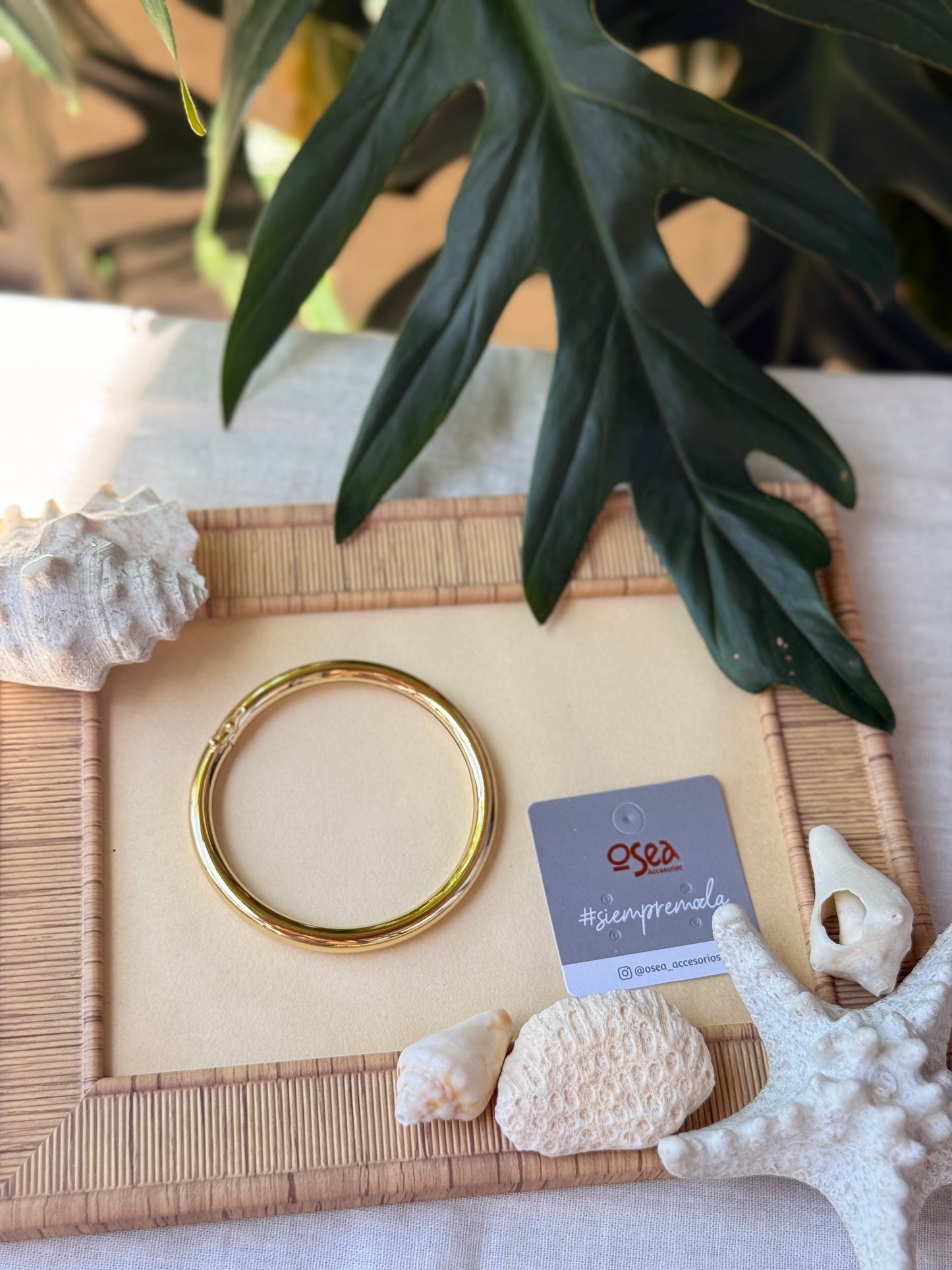 Pulsera rodinada con broche