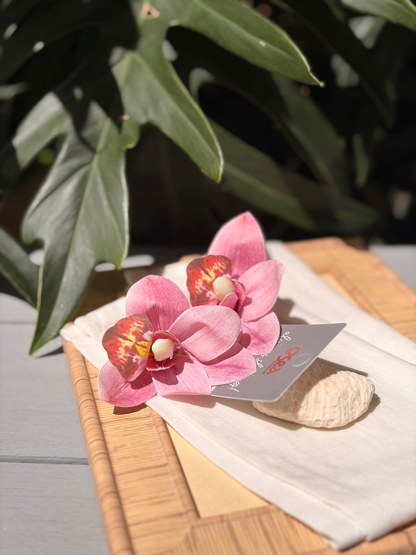 Aretes en topo de orquídea