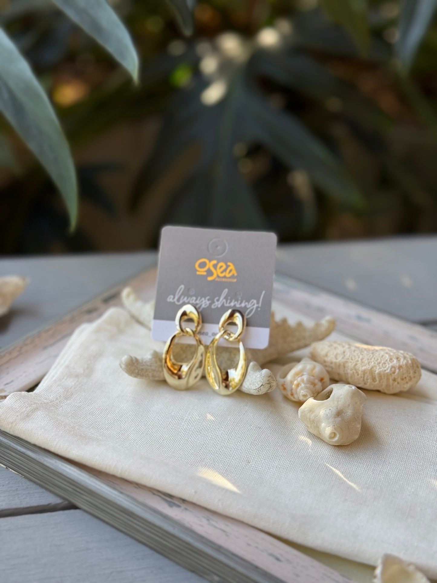 Aretes rodinados doble aro