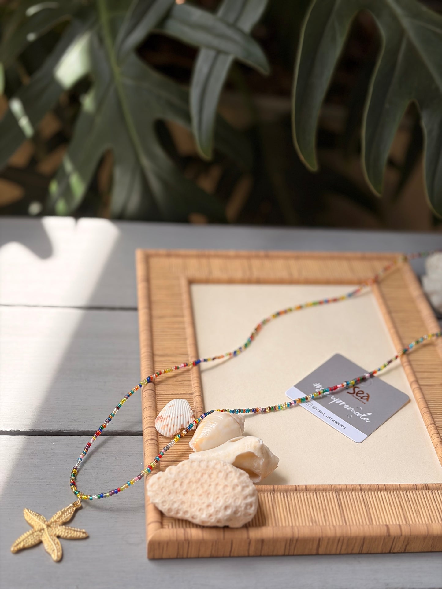 Collar largo mostacilla colores dije estrella