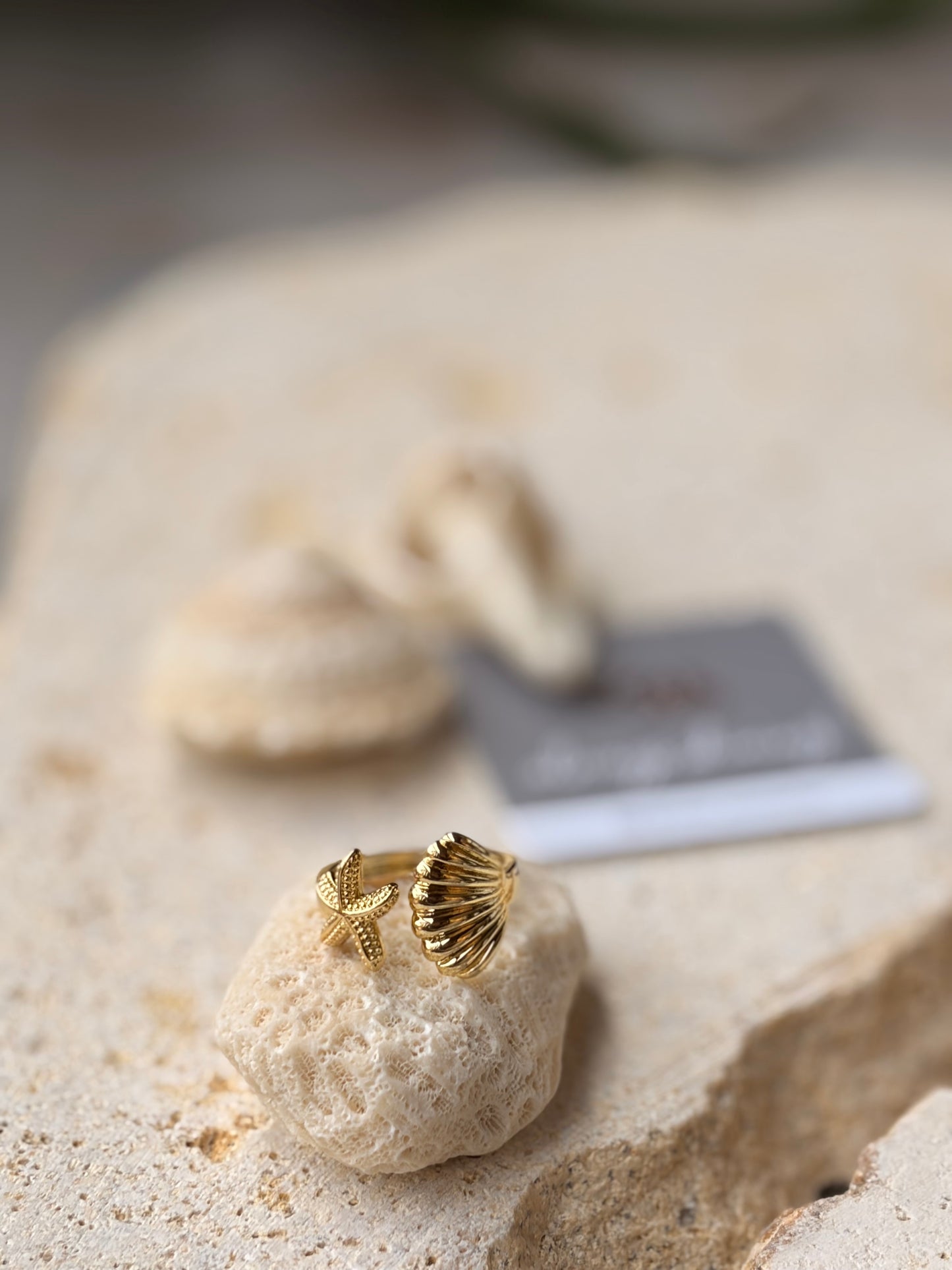 Anillo concha y estrella de mar