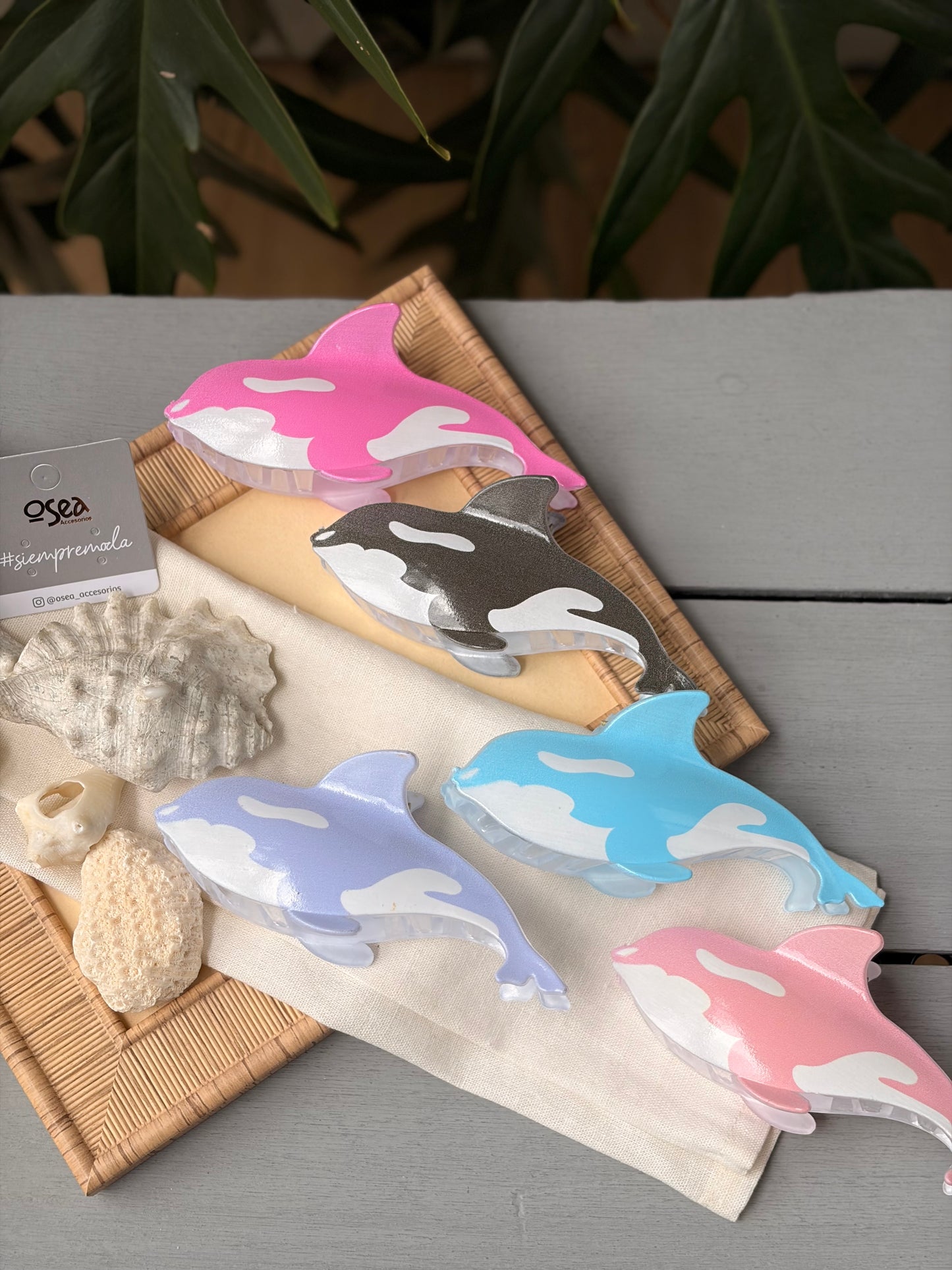 Caimán hair clip ballena en colores