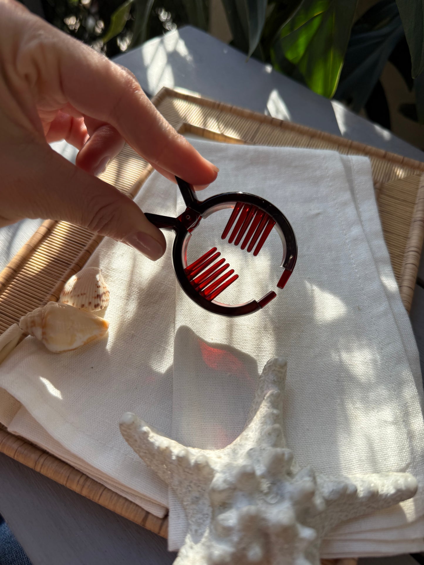 Caimán conga tipo carey