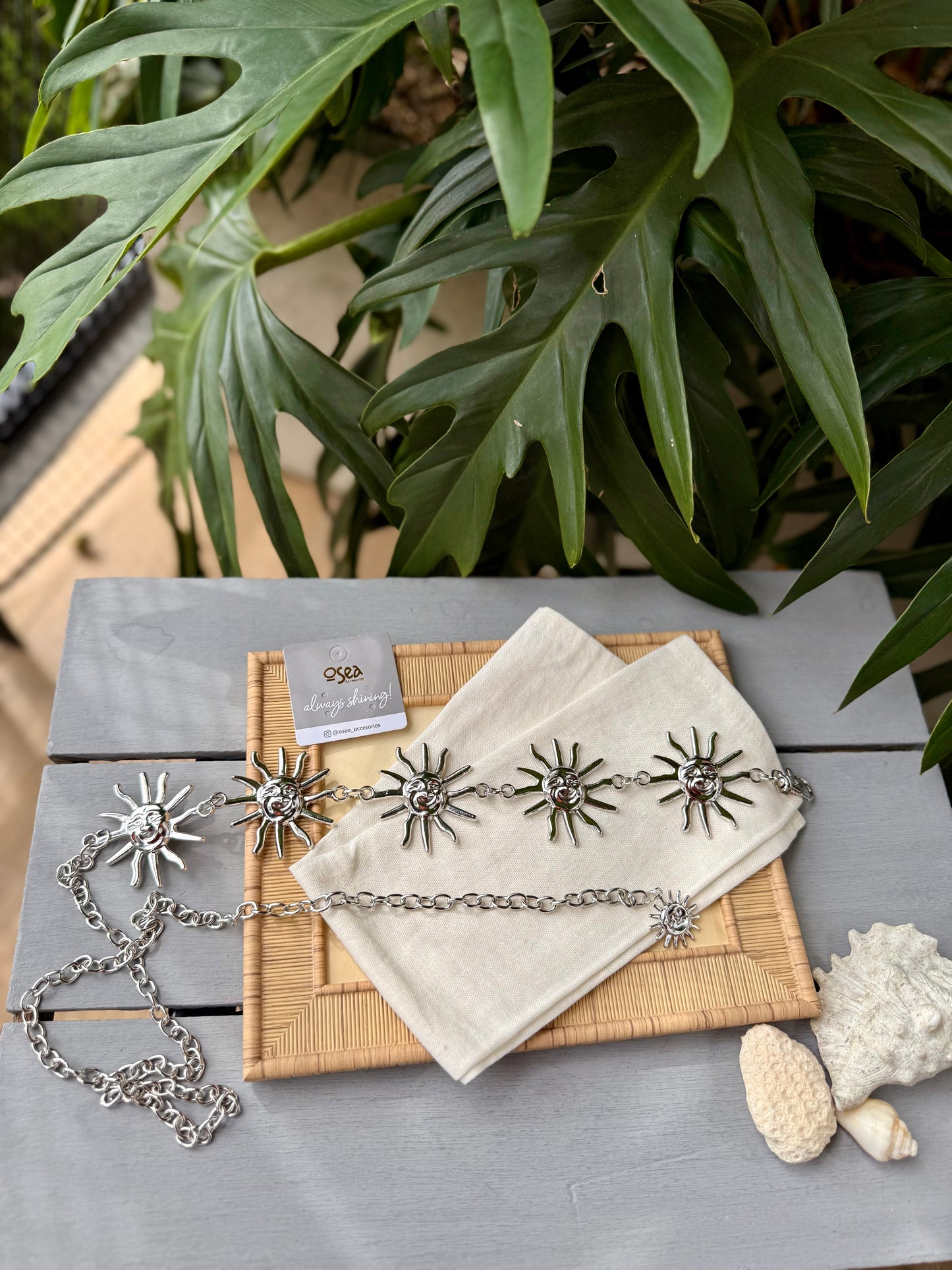 Correa metálica cadena