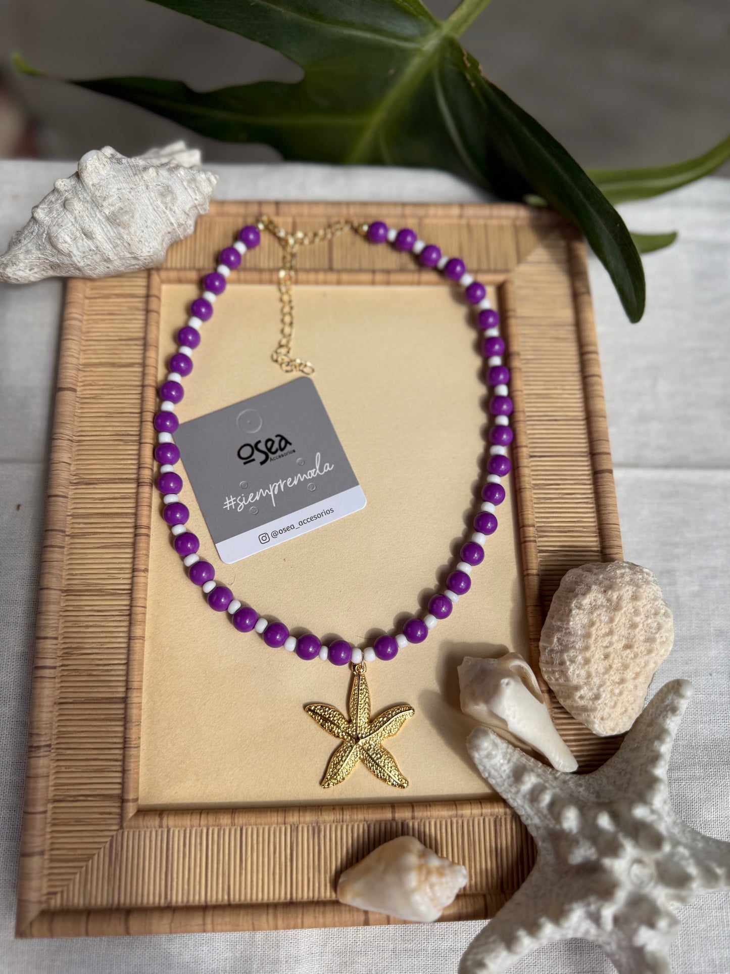 Collar morado estrella de mar