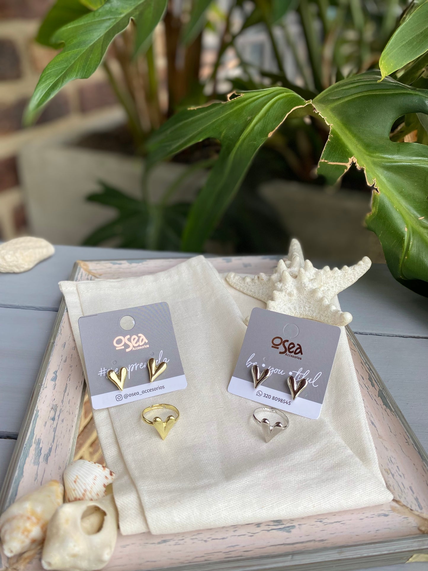 Set rodinado de anillo y topos de corazón