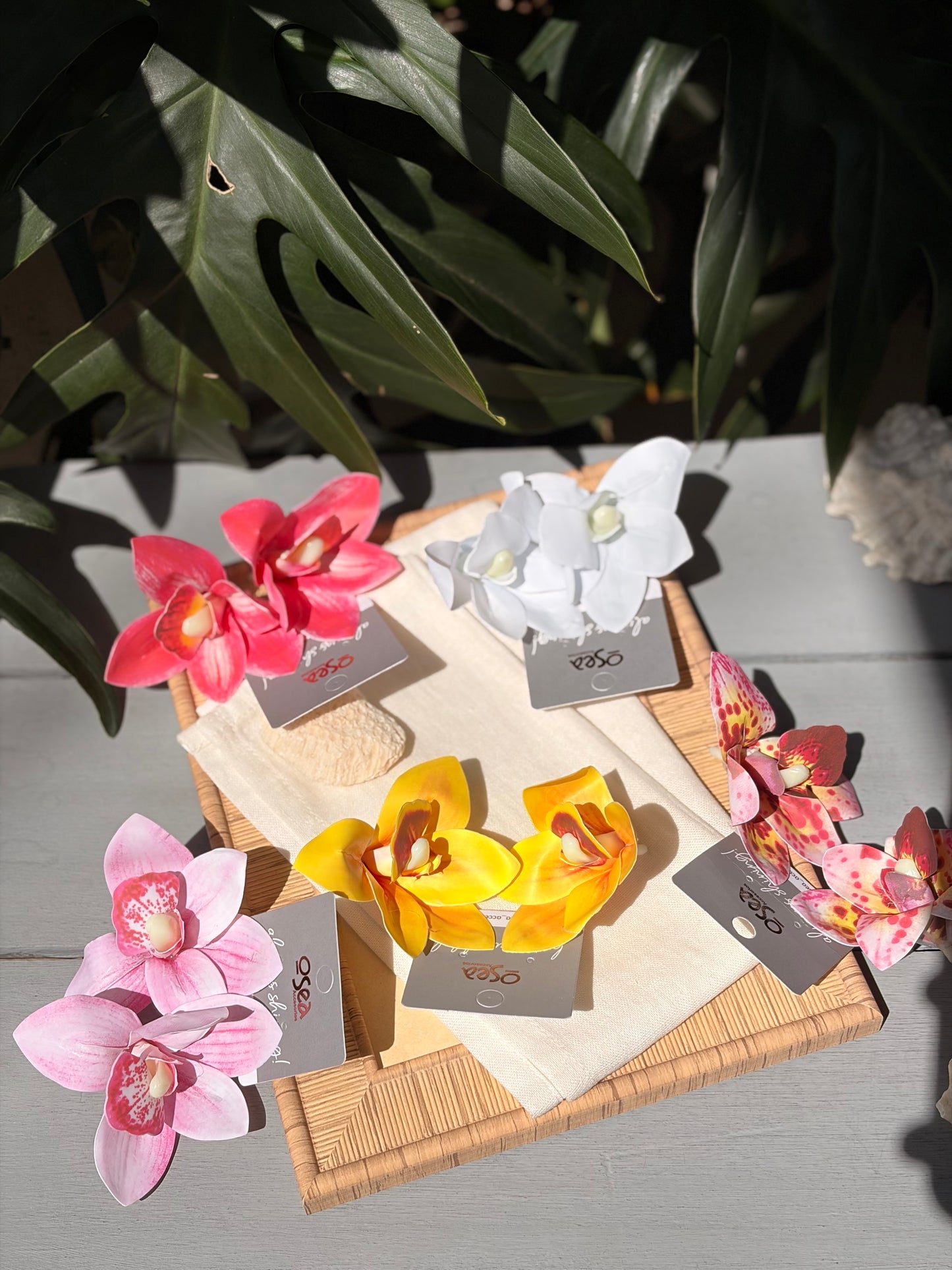 Aretes en topo de orquídea