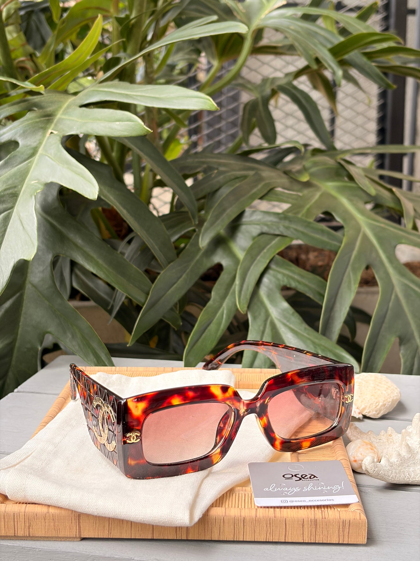 Gafas de sol en pasta aplique dorado