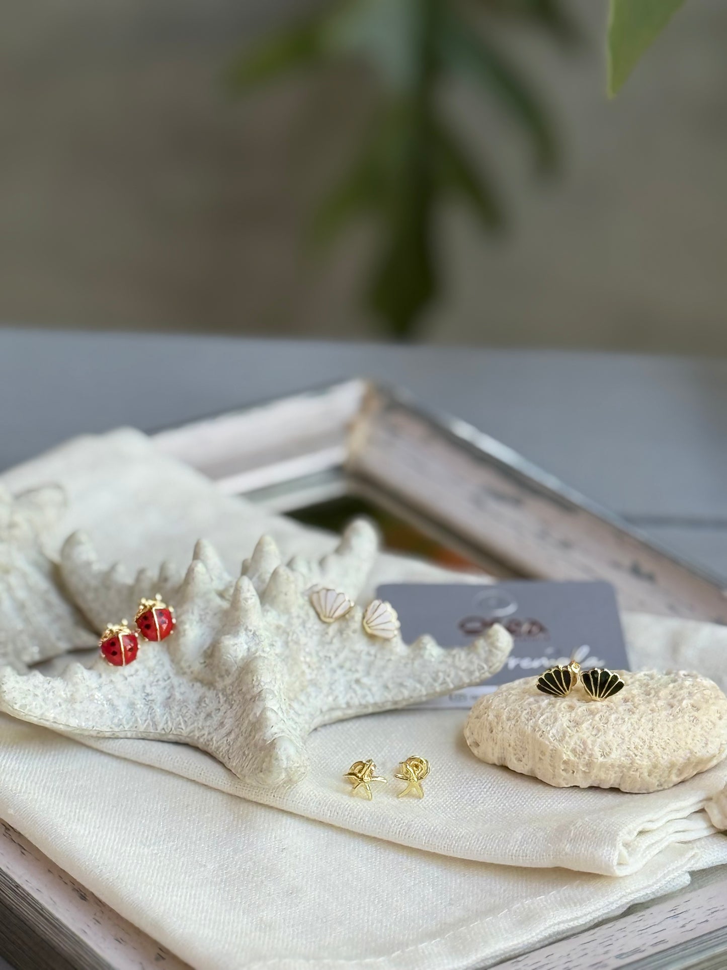 Mini topos de concha, estrella y mariquita