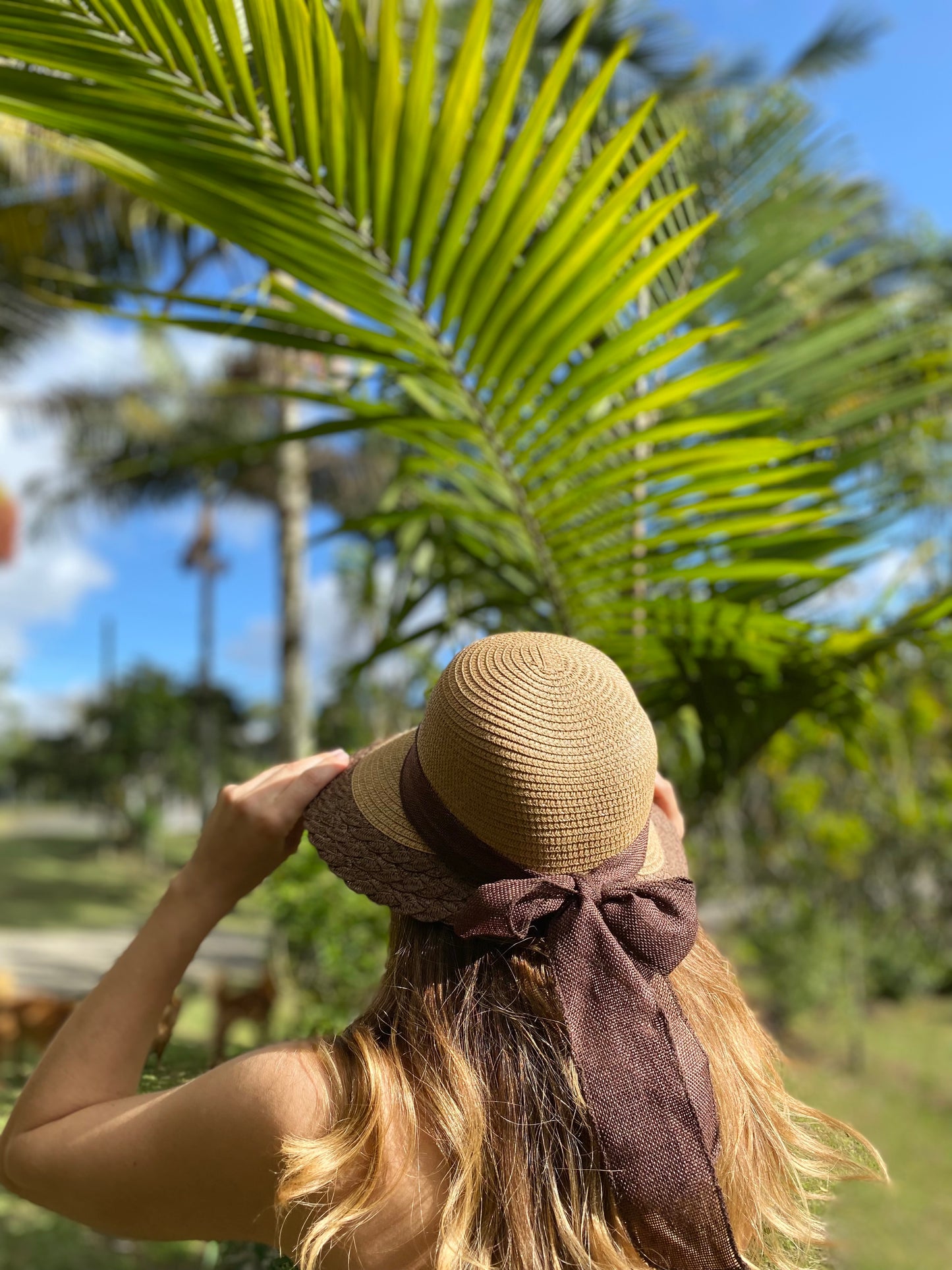 Sombrero tipo visera con borde y cinta moño