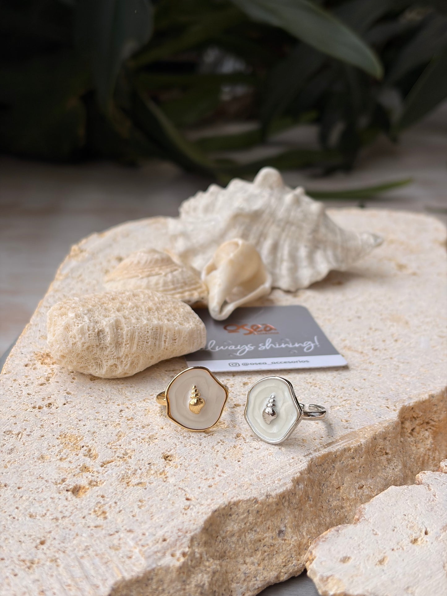 Anillo graduable rodinado concha esmaltada