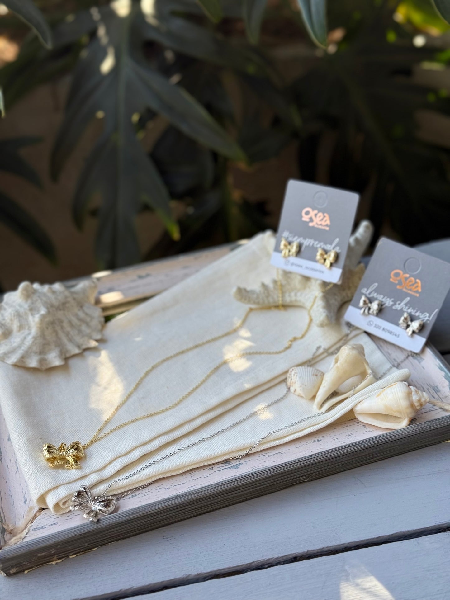 Set Cadena y topos rodinados moño