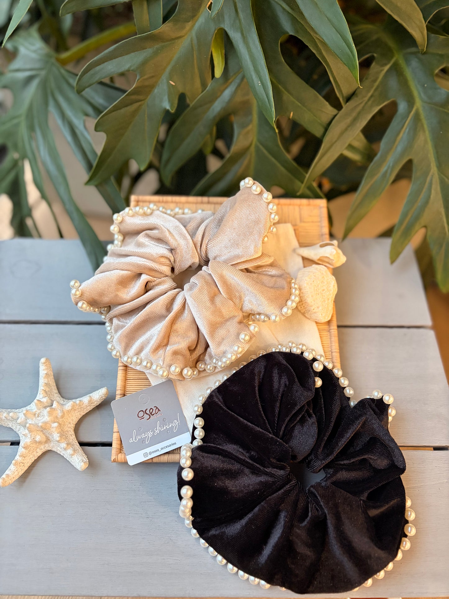 Bamba fina en pana borde perlas