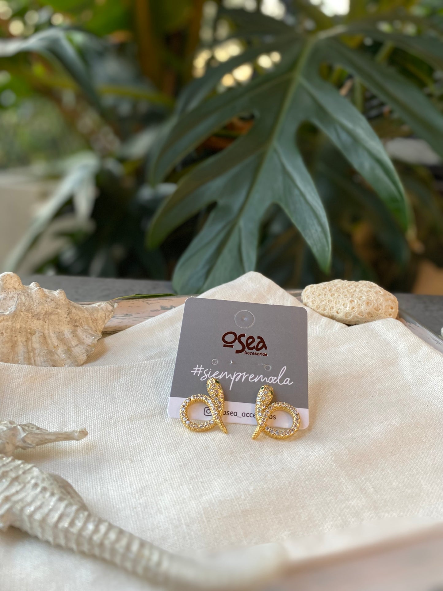 Topos de serpiente rodinados con piedras