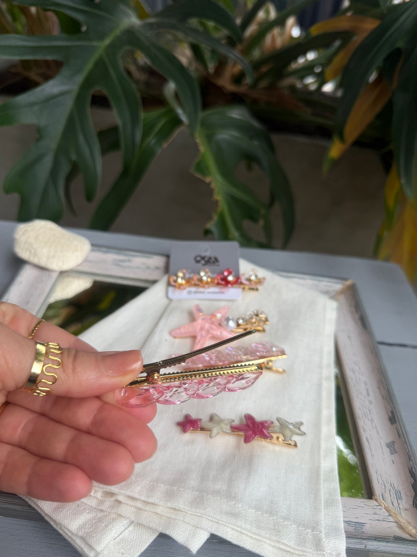Set de pinzas pico de loro x 5