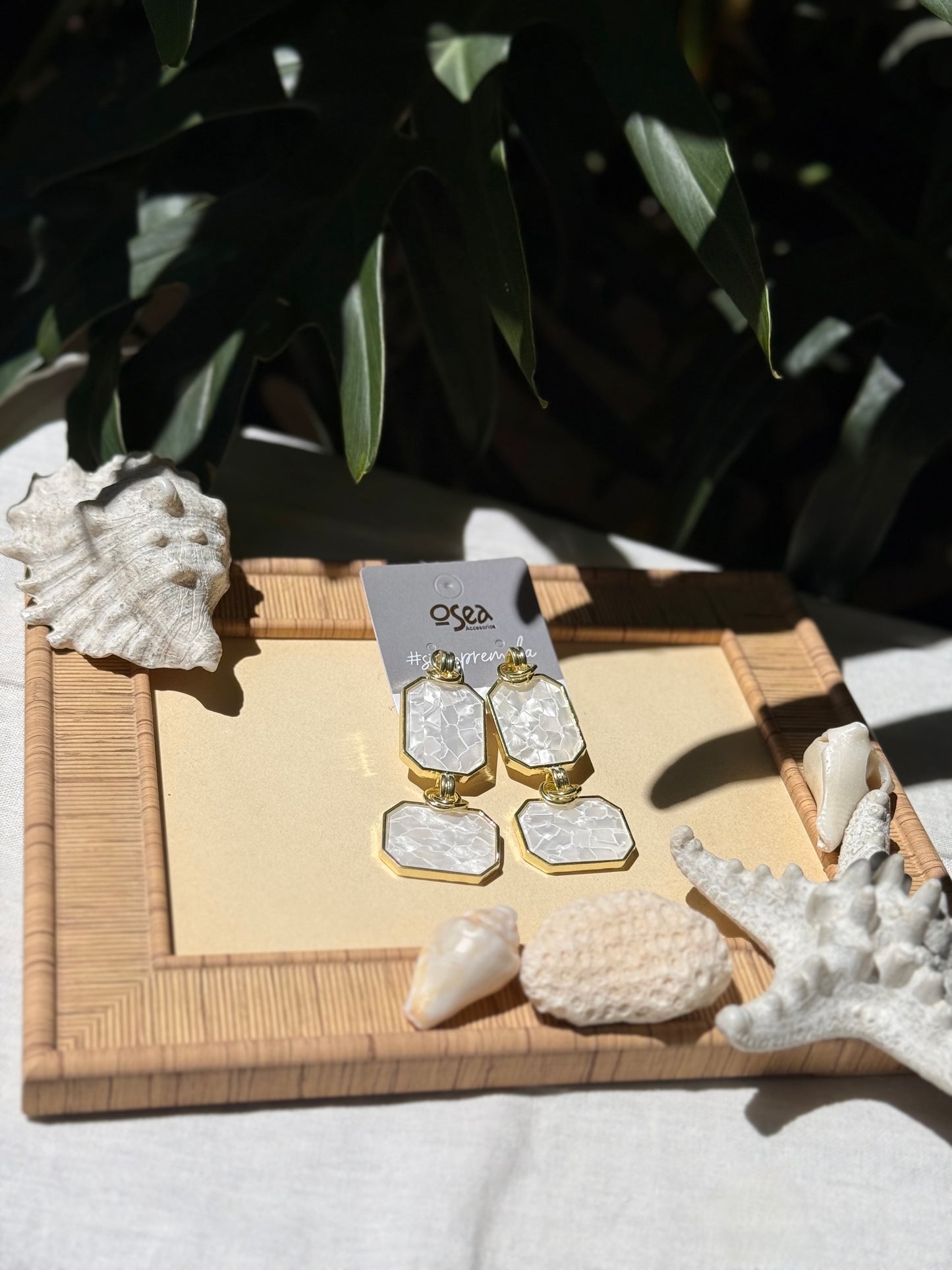 Aretes rodinados de lujo nácar