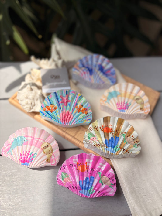 Caimán hair clip en pasta forma concha