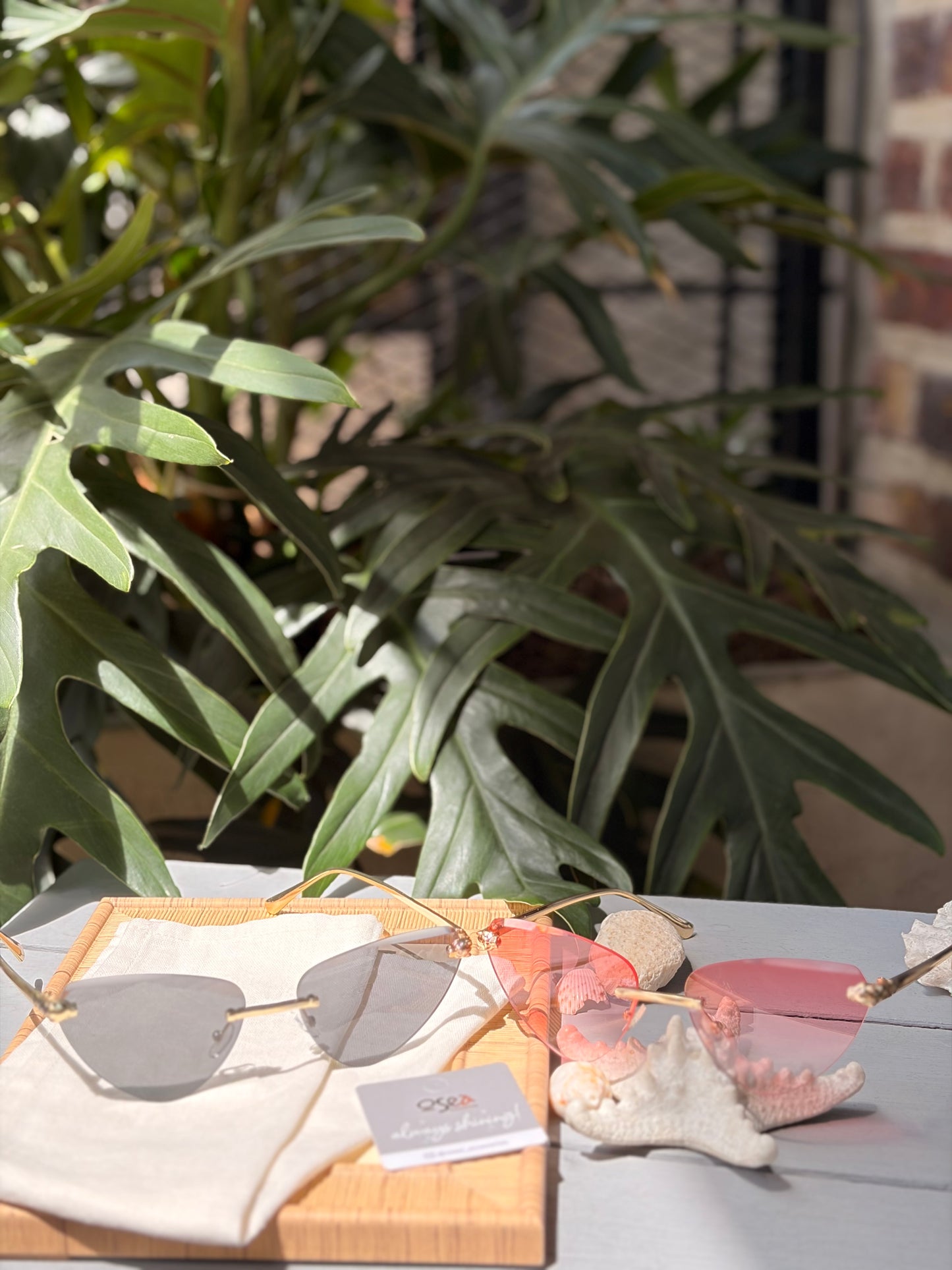 gafas de sol pantera