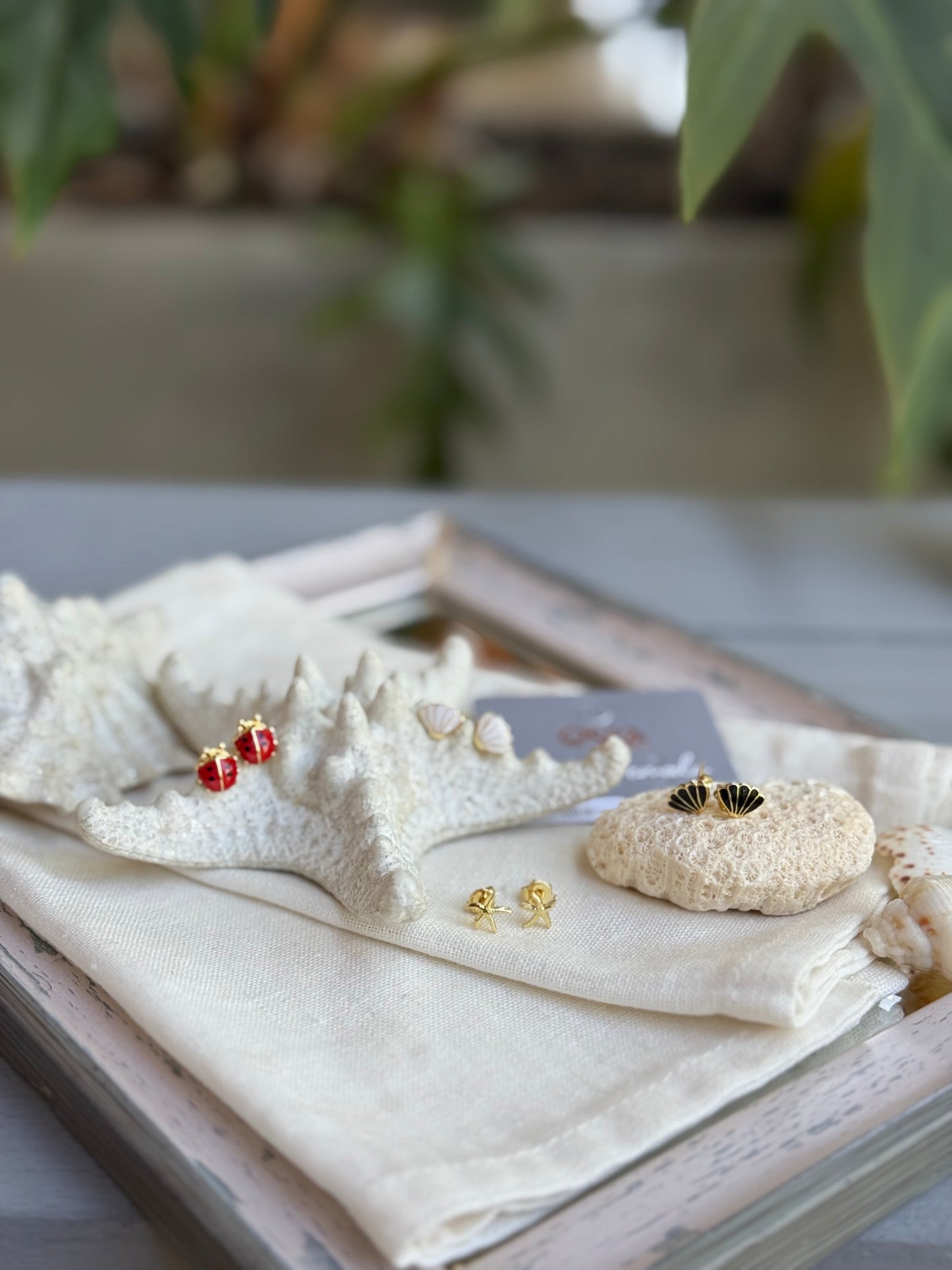 Mini topos de concha, estrella y mariquita