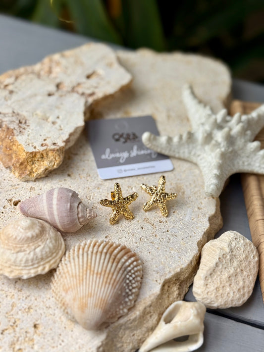 Aretes topo estrella de mar con puntos