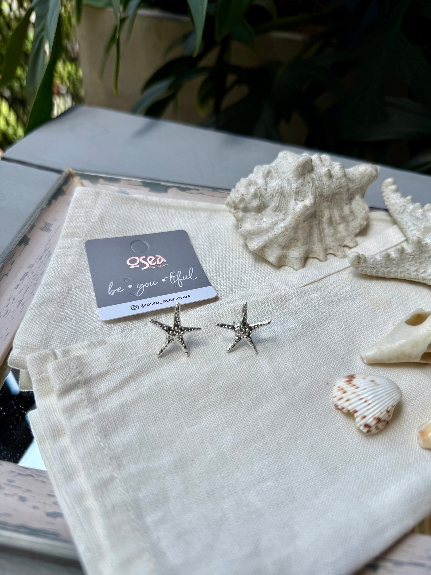 Aretes topo estrella de mar puntas