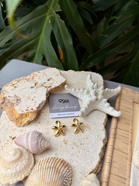 Topo pequeño estrella de mar