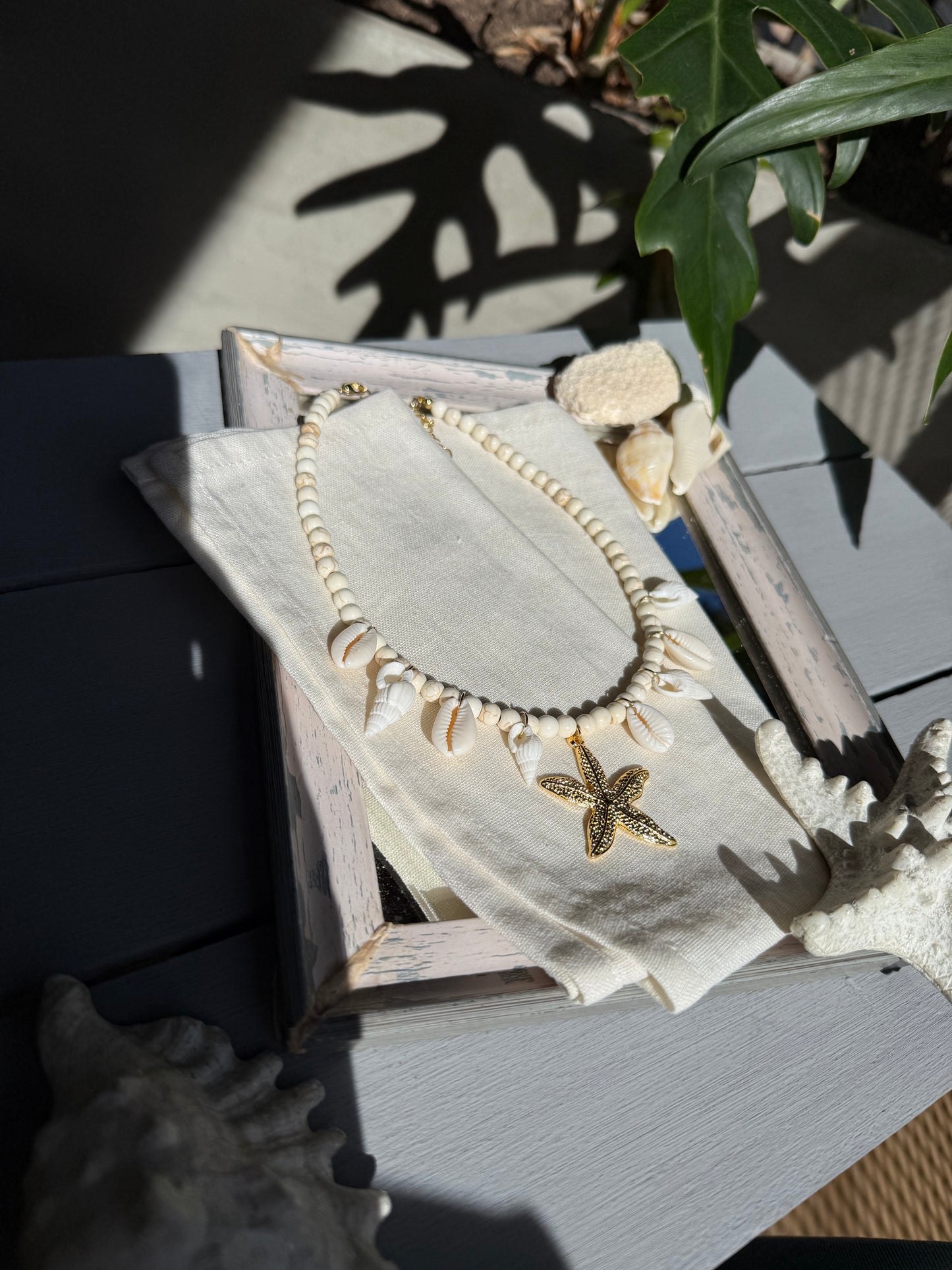 Collar conchas y estrella