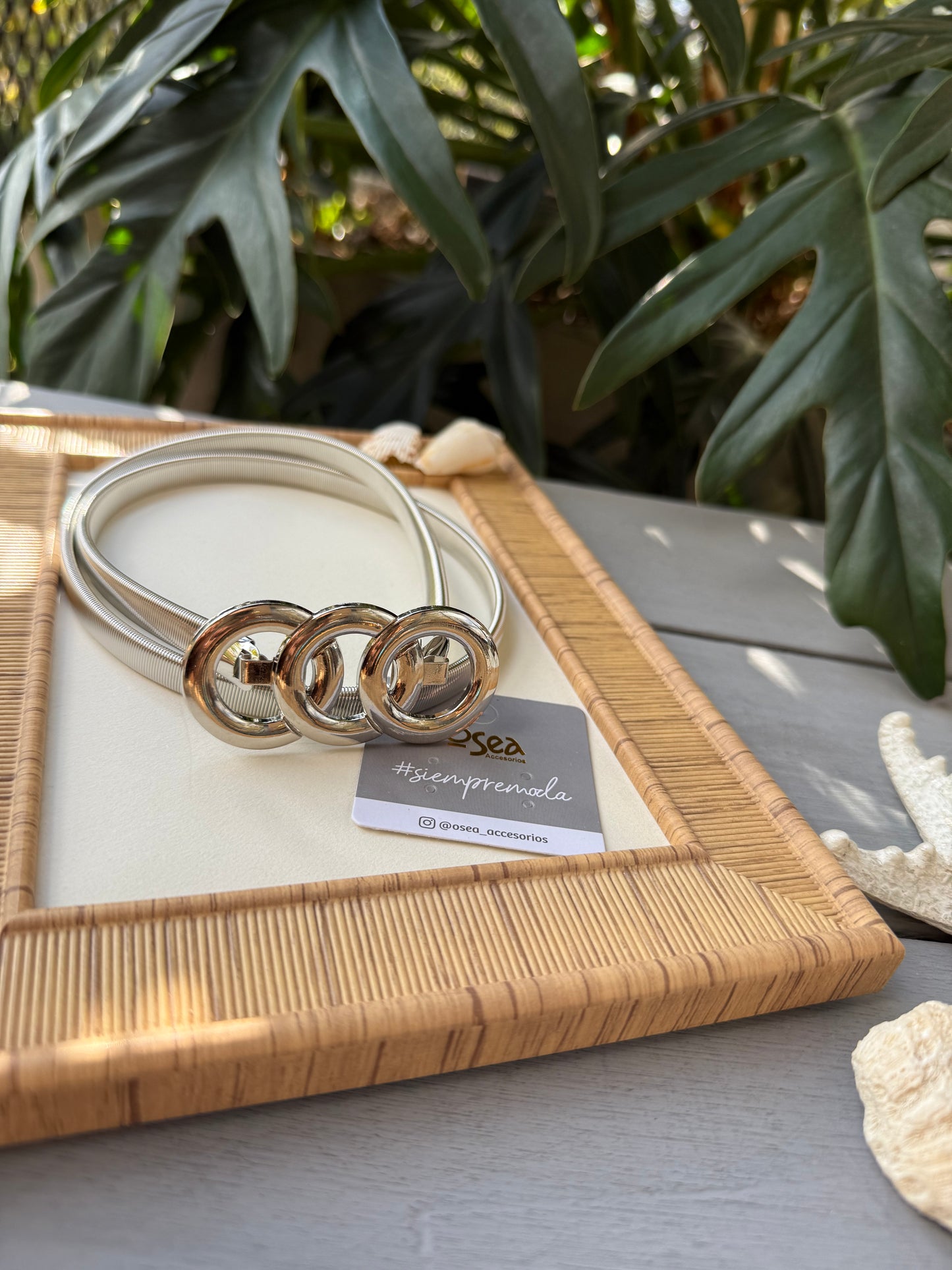 Correa elástica metalica