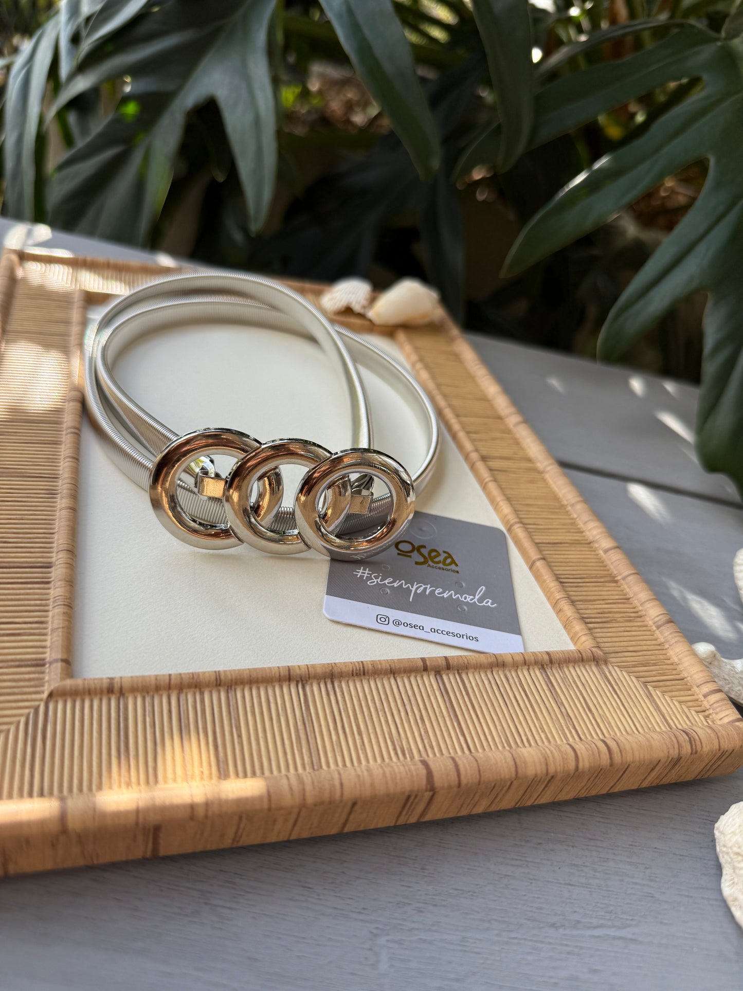 Correa elástica metalica