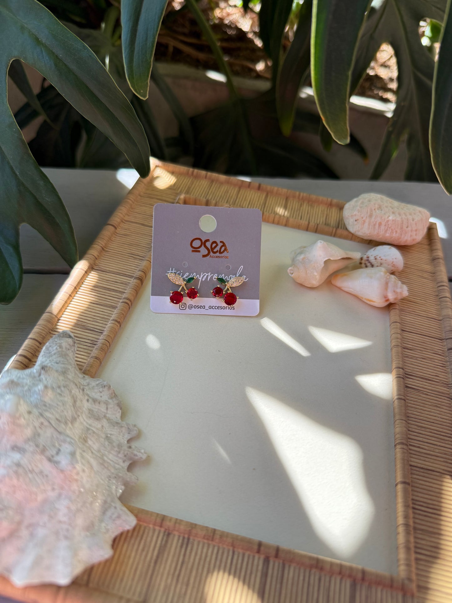 Topo cereza rodinado en piedras