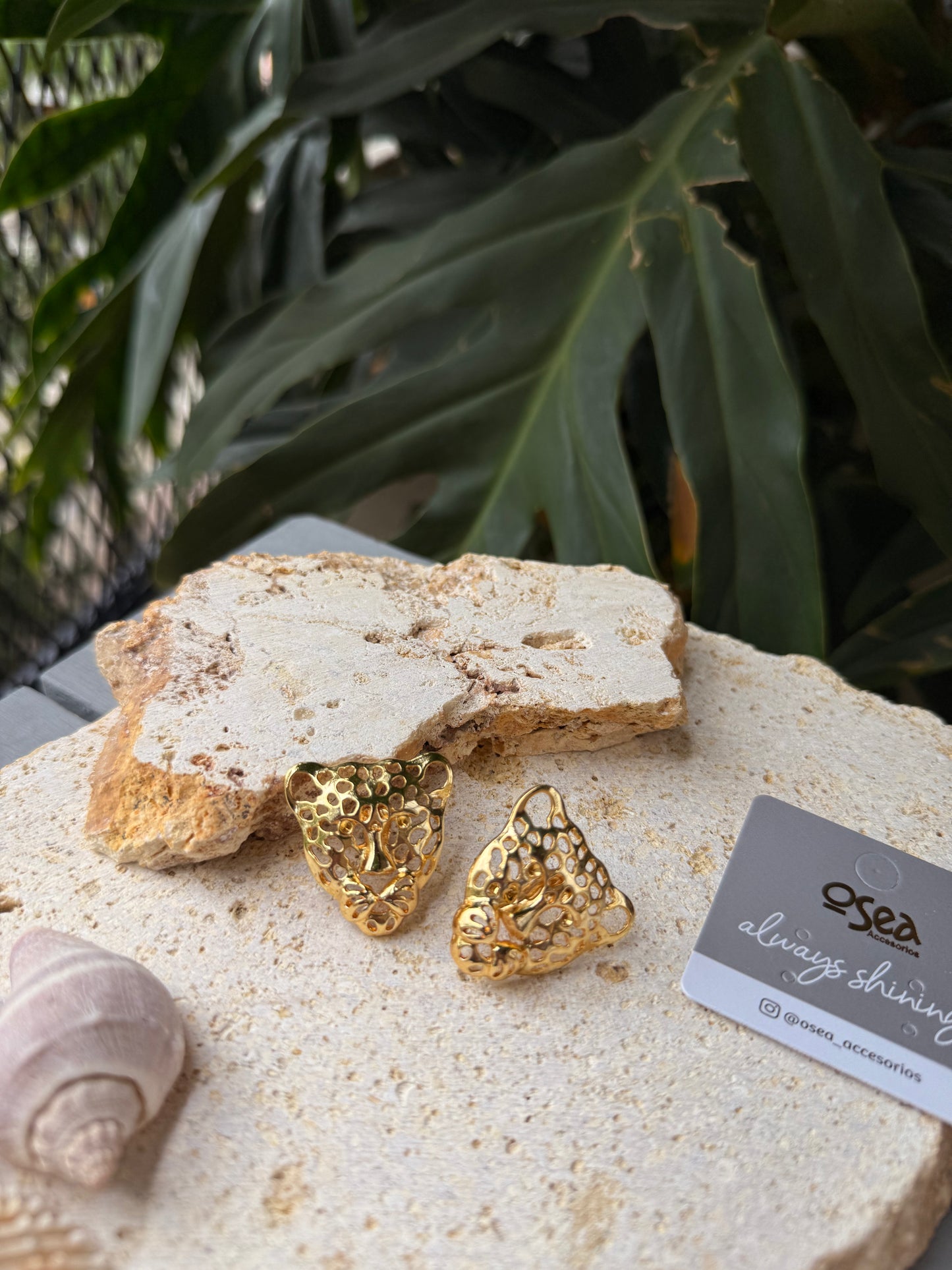 Topo pantera baño de oro