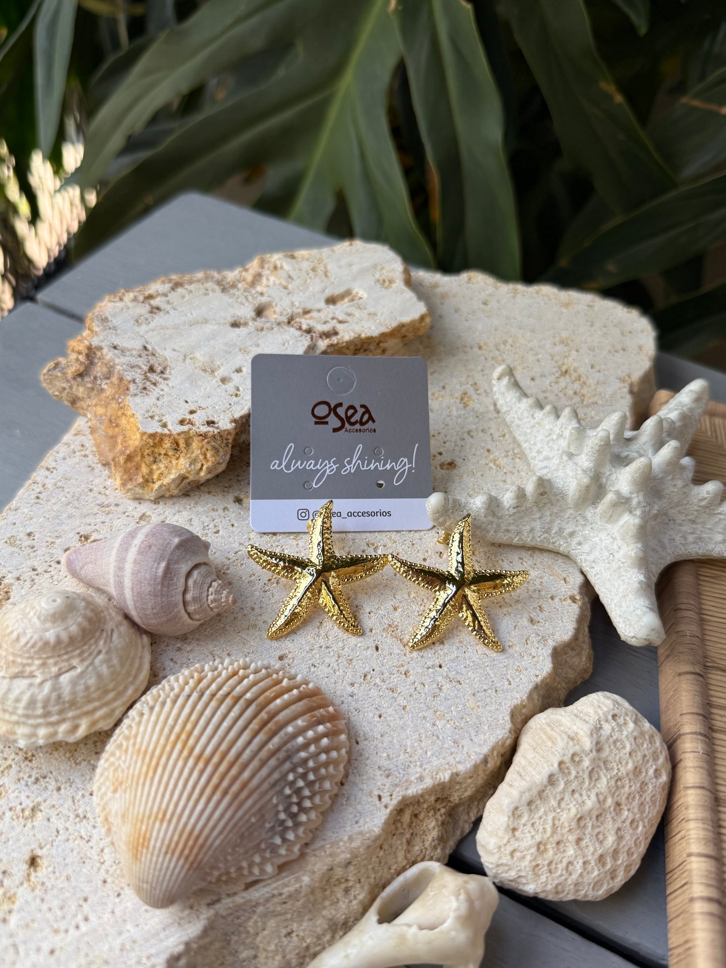 Arete estrella de mar baño de oro