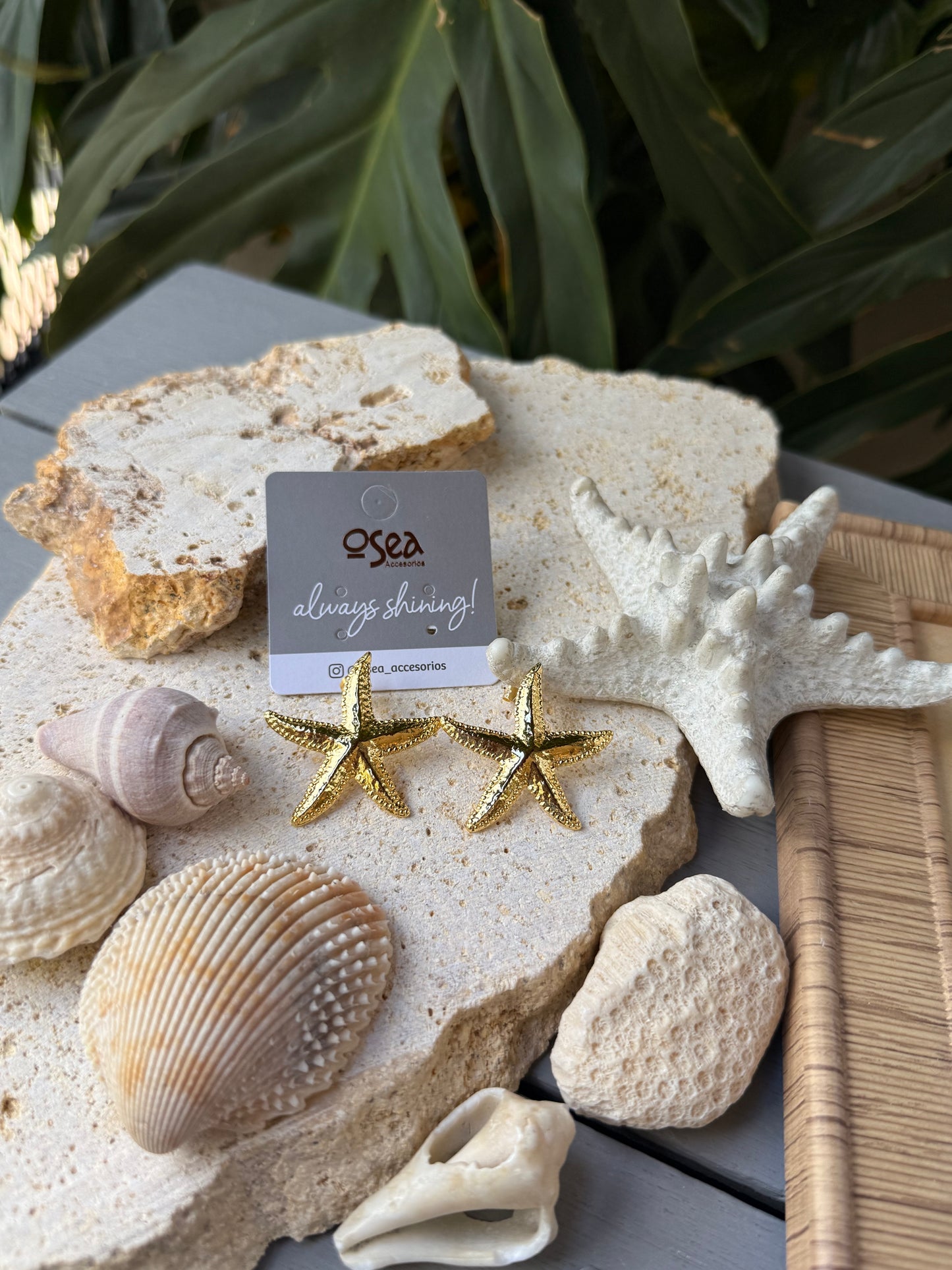 Arete estrella de mar baño de oro