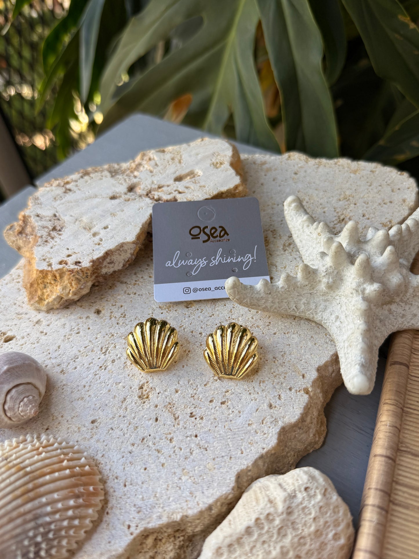 Arete ostra con baño de oro