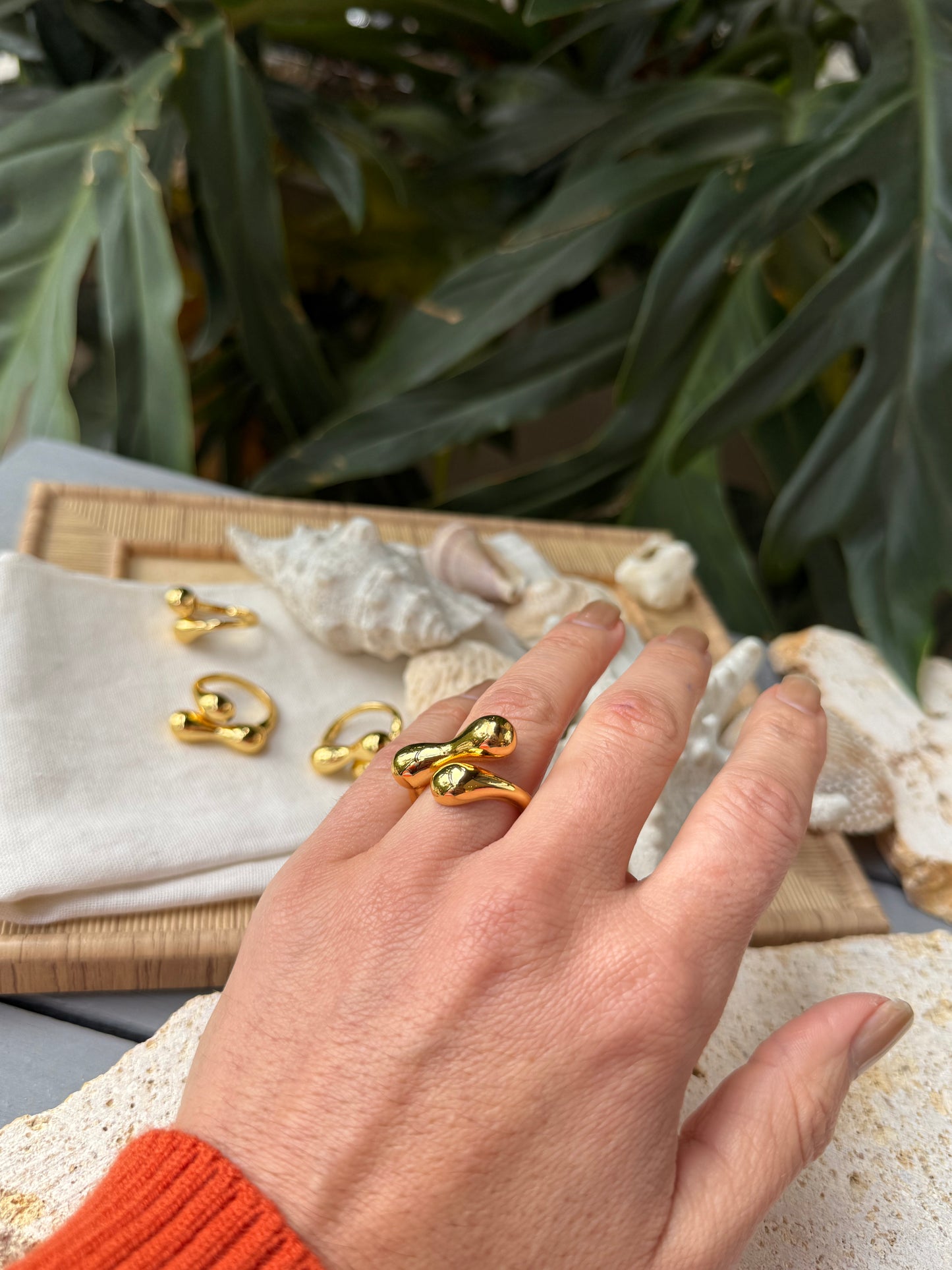 Anillo graduable