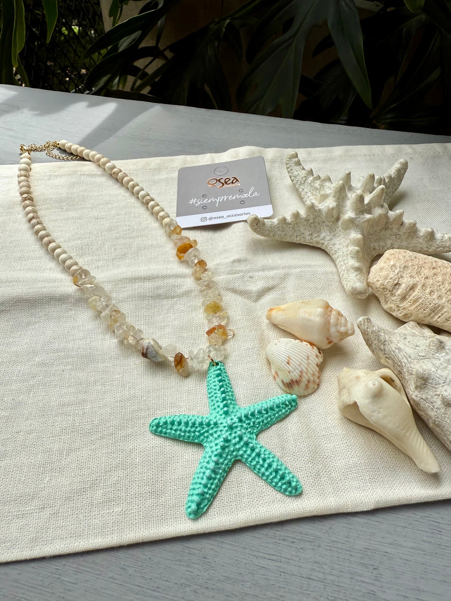 collar piedra picada dije estrella mar colores
