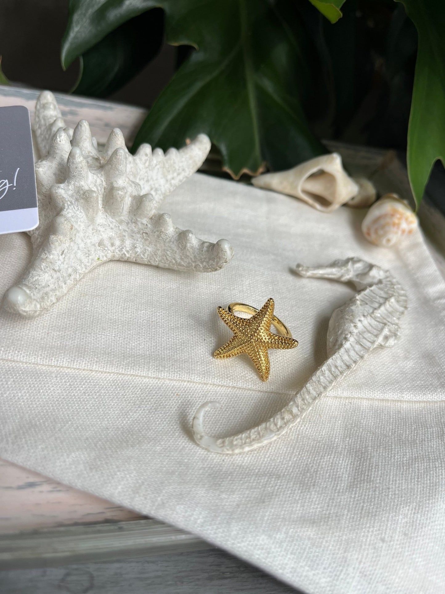 Anillo graduable estrella de mar - Osea accesorios